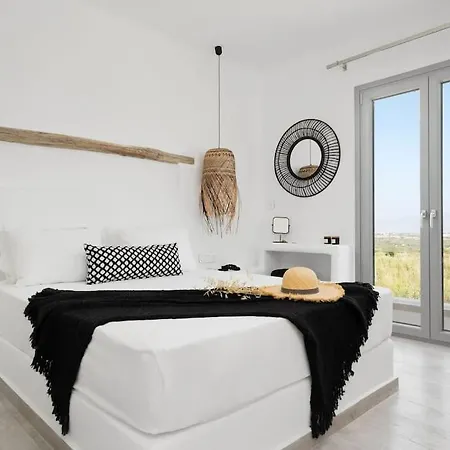 Villa Naxian Perfection